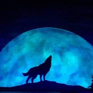 Meet your Posher, Celeste